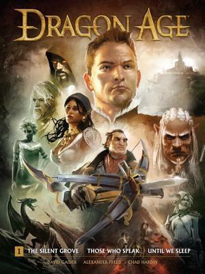 Dragon Age, Volume 1 by Chad Hardin, Michael Atiyeh, David Gaider, Anthony Palumbo
