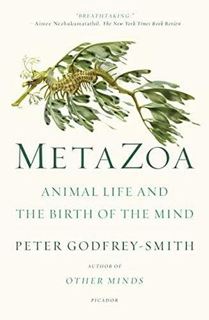 Metazoa: Animal Life and the Birth of the Mind by Peter Godfrey-Smith
