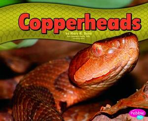 Copperheads by Mary R. Dunn