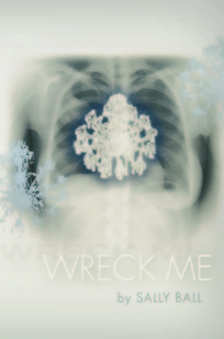 Wreck Me by Sally Ball