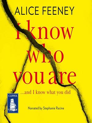 I Know Who You Are by Alice Feeney