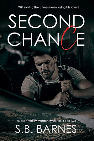 Second Chance by S.B. Barnes