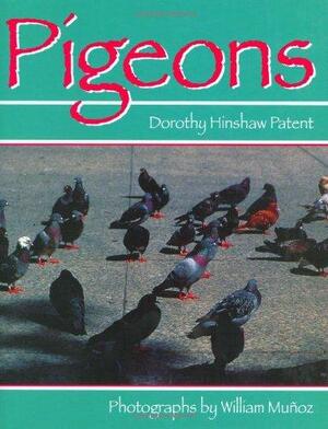 Pigeons by Dorothy Hinshaw Patent