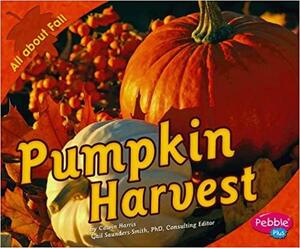 Pumpkin Harvest by Calvin Harris