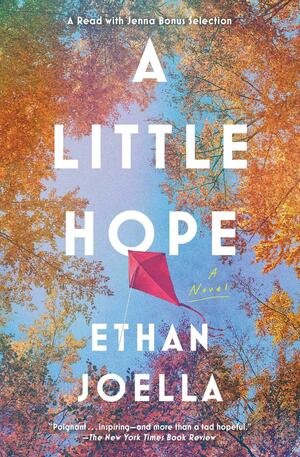 A Little Hope: A Novel by Ethan Joella