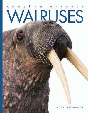 Walruses by Valerie Bodden