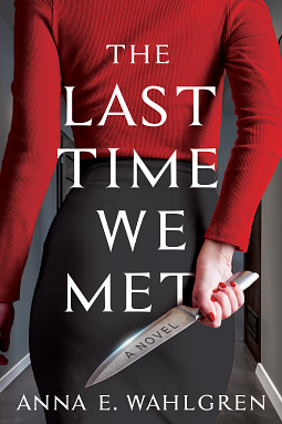 The Last Time We Met by Anna E. Wahlgren