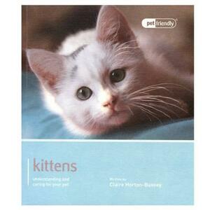 Kitten by Claire Horton-Bussey