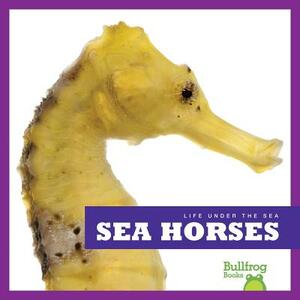 Sea Horses by Cari Meister
