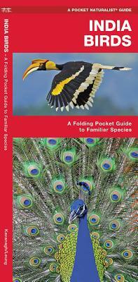 India Birds: A Folding Pocket Guide to Familiar Species by James Kavanagh, Waterford Press