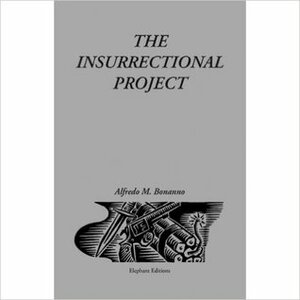 The Insurrectional Project by Alfredo M. Bonanno