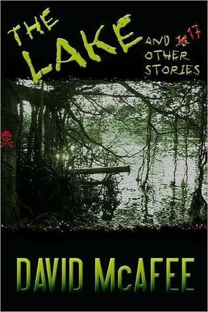 The Lake and 17 Other Stories by David McAfee