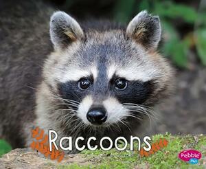Raccoons by G. G. Lake