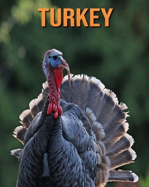 Turkey: Children's Books --- Learn About Turkey and Enjoy Colorful Pictures by Sarah Hughes