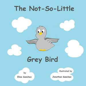 The Not-So-Little Grey Bird by Elias Sanchez, Jonathan Sanchez