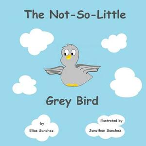 The Not-So-Little Grey Bird by Jonathan Sanchez, Elias Sanchez