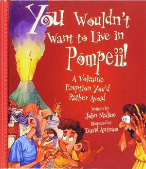 You Wouldn't Want to Live in Pompeii!: A Volcanic Eruption You'd Rather Avoid by David Salariya, John Malam