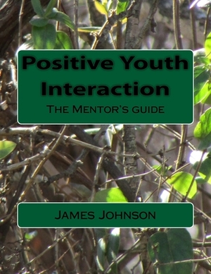 Positive Youth Interaction: The Mentor's guide by James E. Johnson