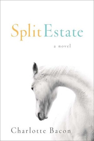 Split Estate by Charlotte Bacon