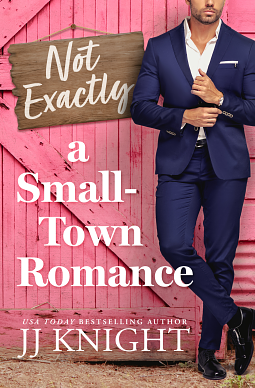 Not Exactly a Small Town Romance by J.J. Knight