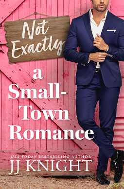 Not Exactly a Small Town Romance by JJ Knight