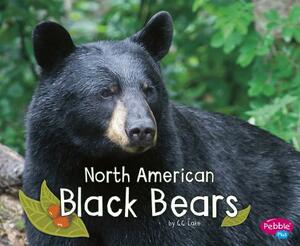North American Black Bears by G. G. Lake