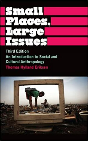 Small Places, Large Issues: An Introduction to Social and Cultural Anthropology by Thomas Hylland Eriksen