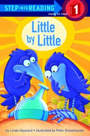 Little by Little by Linda Hayward