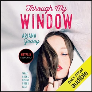 Through My Window by Ariana Godoy