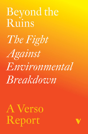Beyond the Ruins: The Fight Against Environmental Breakdown by Mathew Lawrence, Laurie Laybourn-Langton