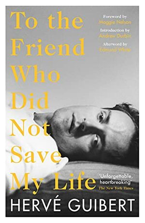 To the Friend Who Did Not Save My Life by Hervé Guibert