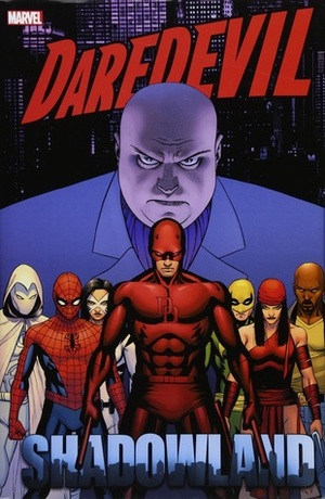 Daredevil: Shadowland Omnibus by Emma Ríos, Marco Checchetto, Zeb Wells, Andy Diggle, Billy Tan, John Layman, Roberto de la Torre, Antony Johnston