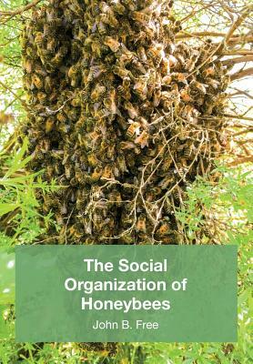 The Social Organisation of Honeybees by John B. Free