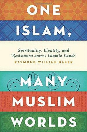 One Islam, Many Muslim Worlds: Spirituality, Identity, and Resistance across Islamic Lands by Raymond William Baker