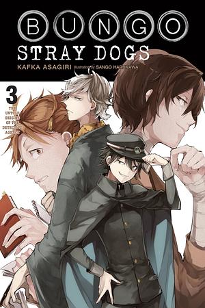 Bungo Stray Dogs, Vol. 3 (light novel): The Untold Origins of the Detective Agency by Kafka Asagiri, Sango Harukawa