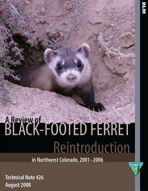 A Review of Black- Footed Ferret Reintroduction in Northwest Colorado,2001-2006 by Bureau of Land Management