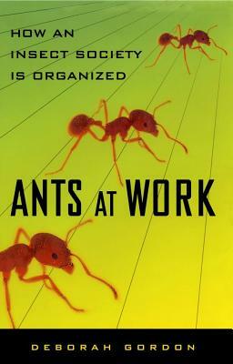 Ants at Work: How an Insect Society Is Organized by Deborah M. Gordon