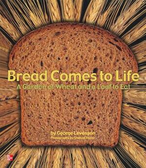 Reading Wonders Literature Big Book: Bread Comes to Life Grade K by 