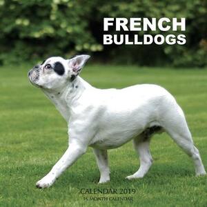 French Bulldogs Calendar 2019: 16 Month Calendar by Mason Landon