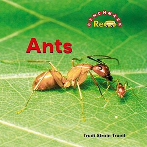 Ants by Trudi Strain Trueit