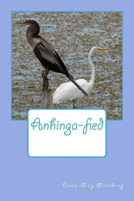 Anhinga-fied by Dana-May Winthrop