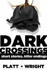 Dark Crossings Volume 1 by Sean Platt, David W. Wright