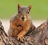 acorns_45's profile picture