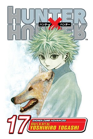 Hunter x Hunter, Vol. 17: A Fierce Three-Way Struggle by Yoshihiro Togashi