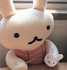 leakaroo's profile picture
