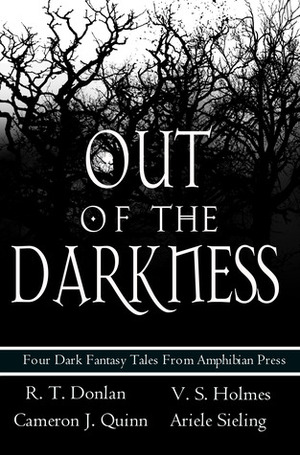 Out of the Darkness by Ariele Sieling, R.T. Donlon, Amy Spitzfaden, V.S. Holmes, Cameron J. Quinn