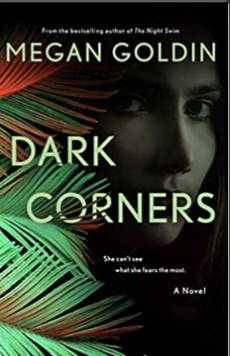 Dark Corners by Megan Goldin