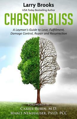 Chasing Bliss: A Layman's Guide to Love, Fulfillment, Damage Control, Repair and Resurrection by Larry Brooks