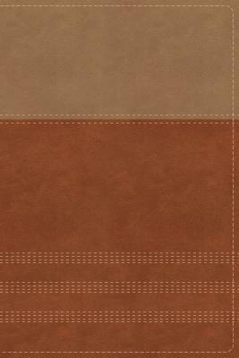 NIV, Biblical Theology Study Bible, Imitation Leather, Tan/Brown, Indexed, Comfort Print: Follow God's Redemptive Plan as It Unfolds Throughout Script by 