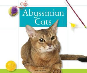 Abyssinian Cats by Tammy Gagne